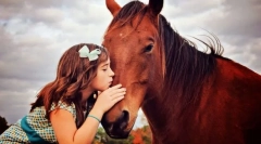 Как да се сприятеляваме с кон?